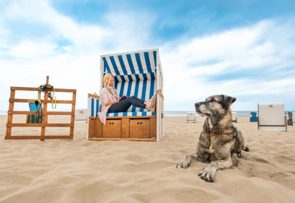 Hund am Strand mit Frauchen