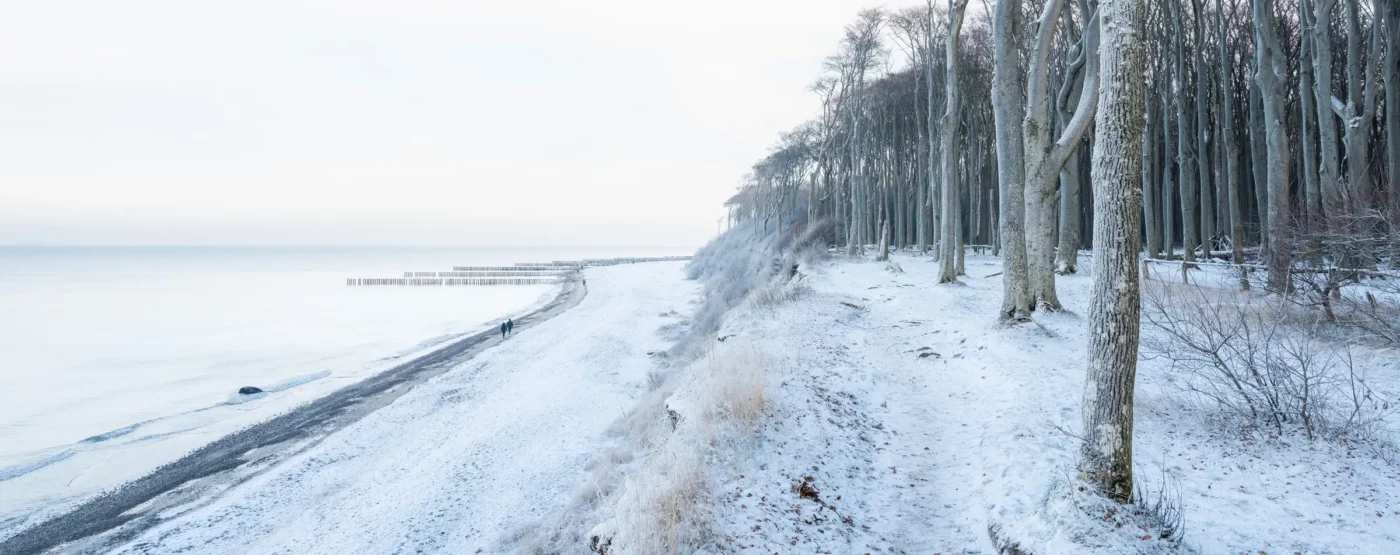 Gespensterwald Nienhagen im Winter