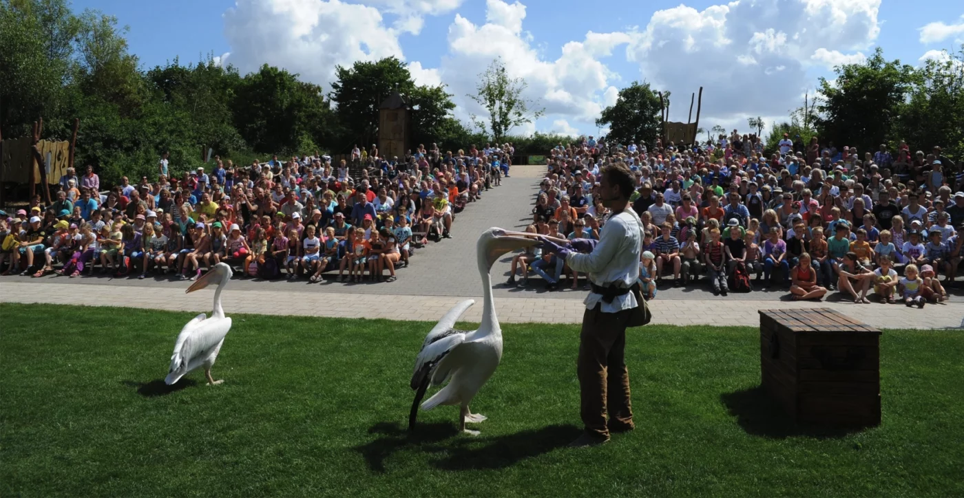 Vogelpark Marlow entdecken